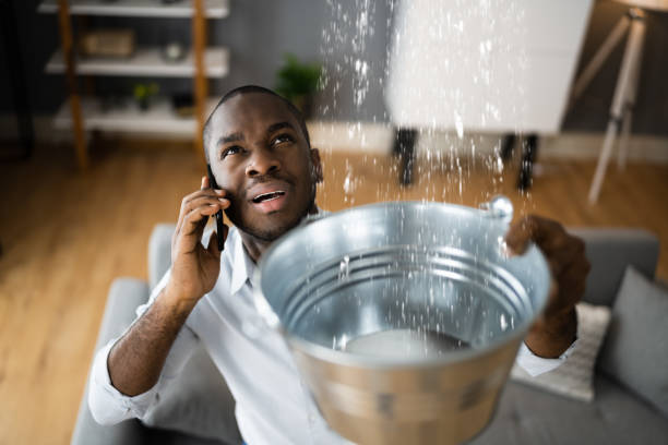 Best Mold removal after water damage  in Lawndale, CA