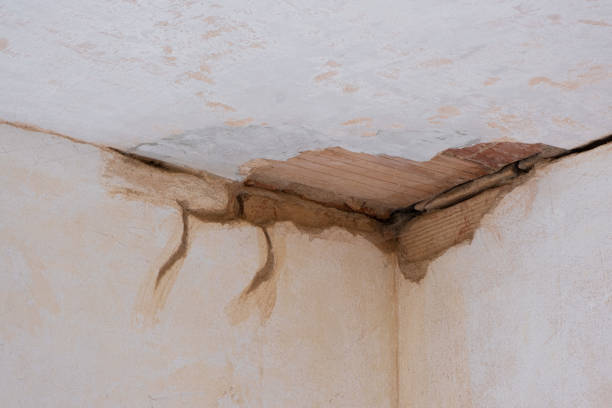 Best Flood restoration services  in Lawndale, CA