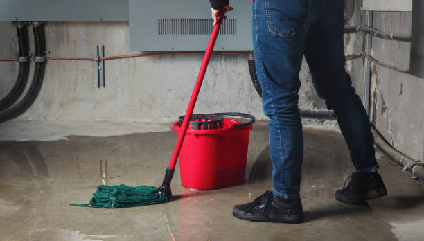 Best Flood damage cleanup  in Lawndale, CA