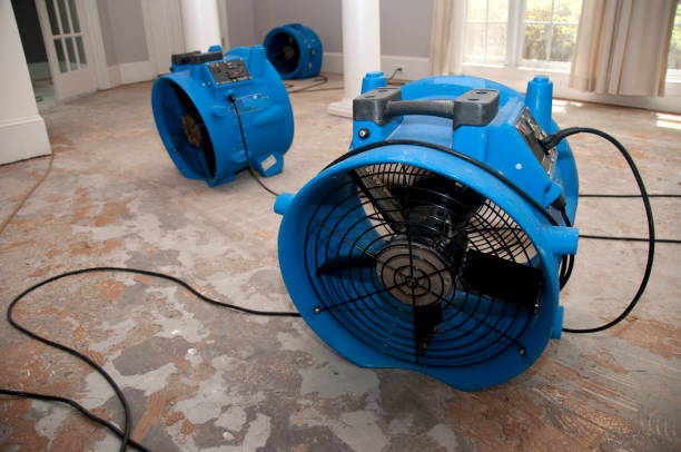 Water damage restoration experts in Lawndale, CA