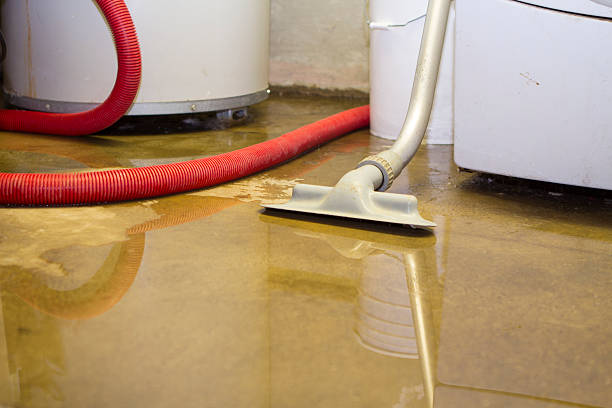 Best Water damage restoration experts  in Lawndale, CA