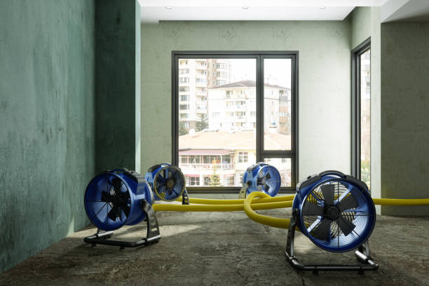 Best Residential water damage restoration  in Lawndale, CA