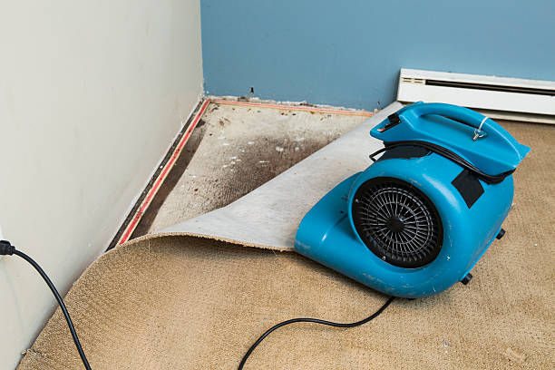 Best Flooded house restoration  in Lawndale, CA